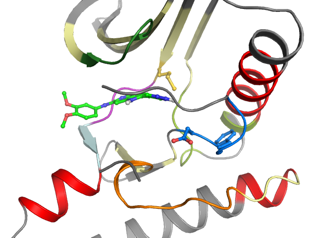 The orthosteric binding pocket
