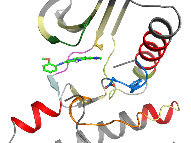 The orthosteric binding pocket