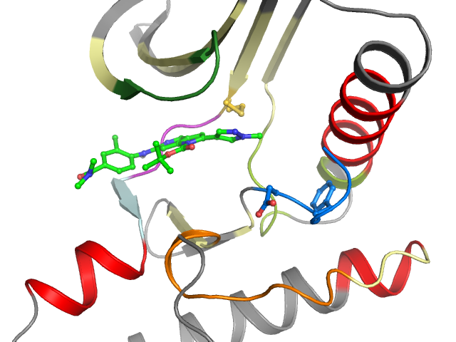 The orthosteric binding pocket