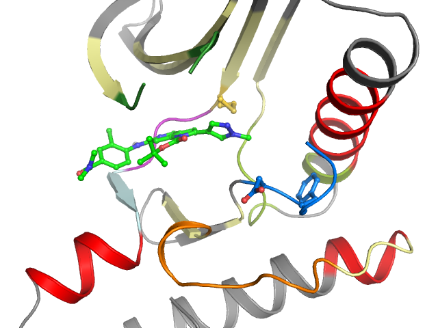 The orthosteric binding pocket