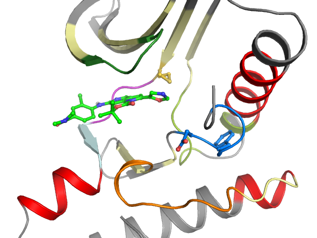 The orthosteric binding pocket
