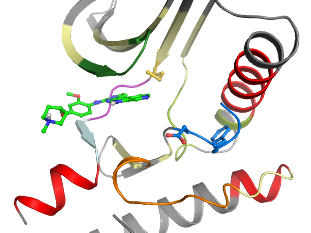 The orthosteric binding pocket