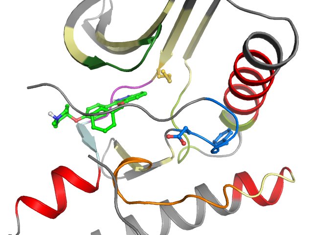The orthosteric binding pocket