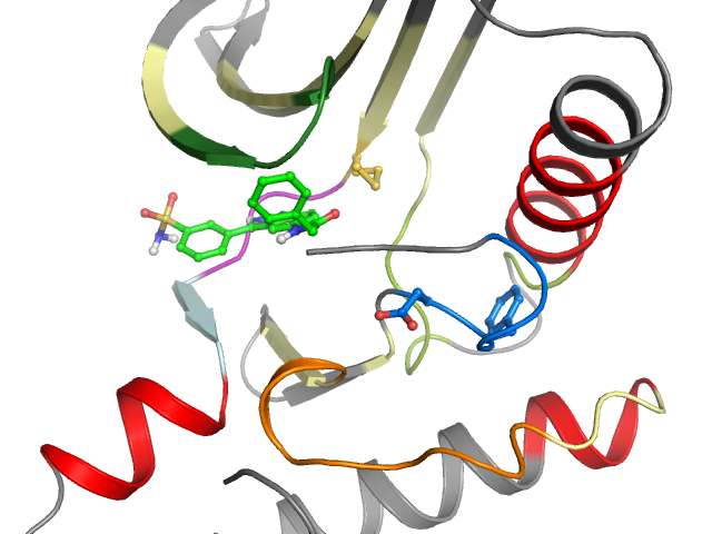 The orthosteric binding pocket