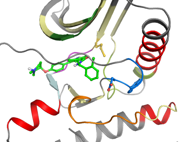 The orthosteric binding pocket