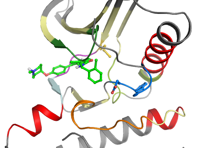 The orthosteric binding pocket