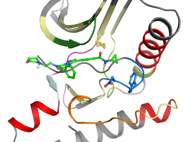 The orthosteric binding pocket