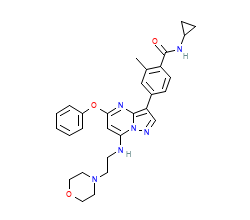 2D structure of the orthosteric ligand
