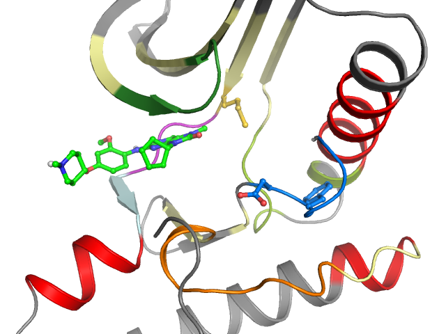 The orthosteric binding pocket