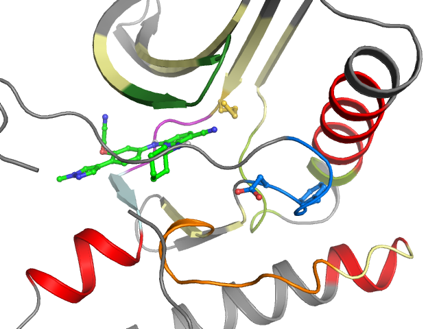 The orthosteric binding pocket
