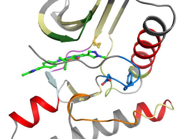 The orthosteric binding pocket
