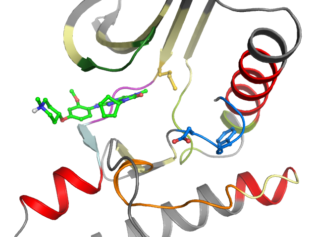 The orthosteric binding pocket