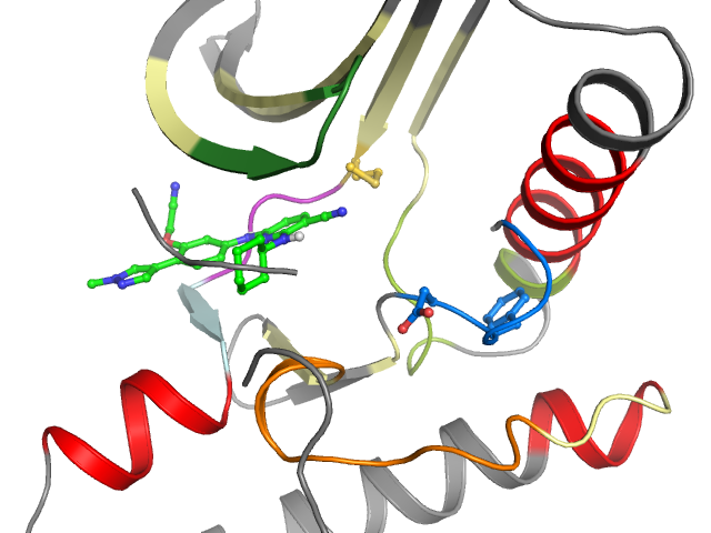 The orthosteric binding pocket