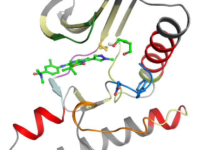 The orthosteric binding pocket
