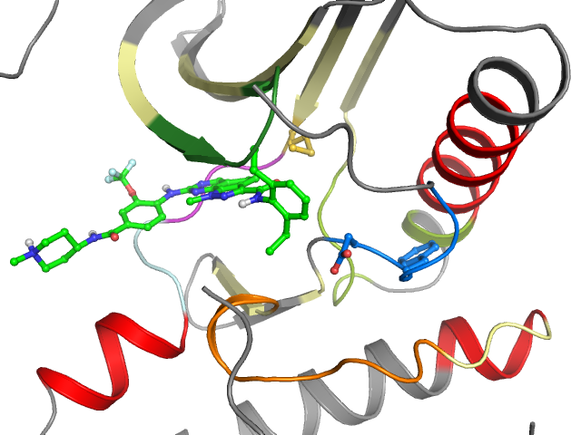 The orthosteric binding pocket