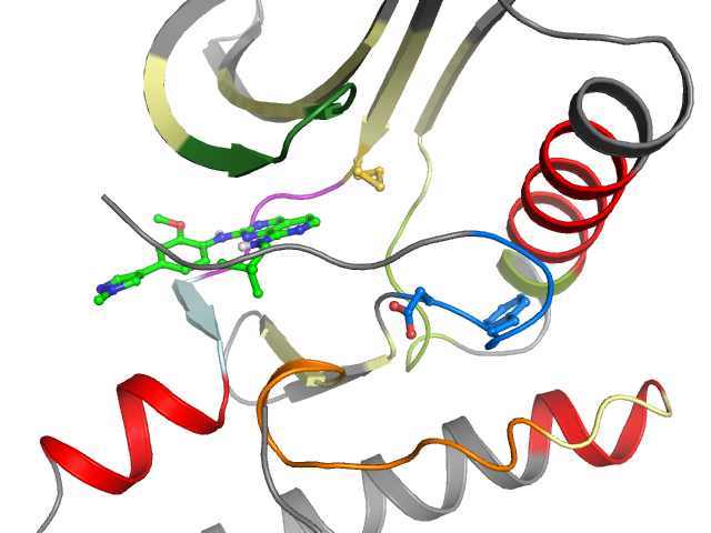 The orthosteric binding pocket