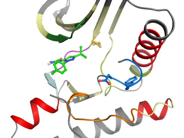 The orthosteric binding pocket