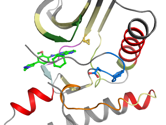 The orthosteric binding pocket