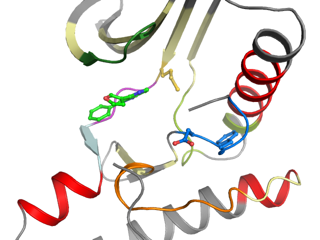 The orthosteric binding pocket