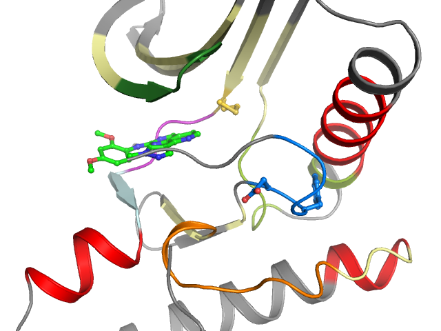 The orthosteric binding pocket