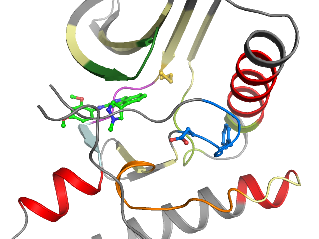 The orthosteric binding pocket