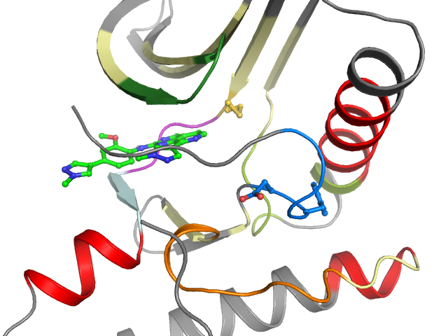 The orthosteric binding pocket