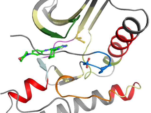 The orthosteric binding pocket