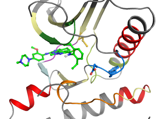 The orthosteric binding pocket