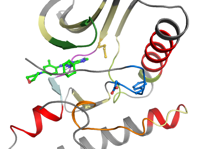 The orthosteric binding pocket