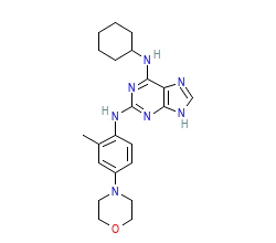 2D structure of the orthosteric ligand