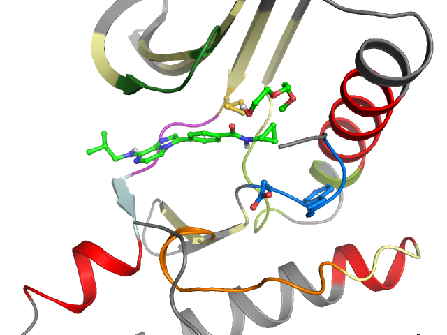 The orthosteric binding pocket