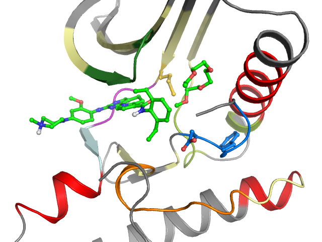 The orthosteric binding pocket