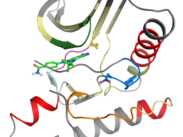 The orthosteric binding pocket