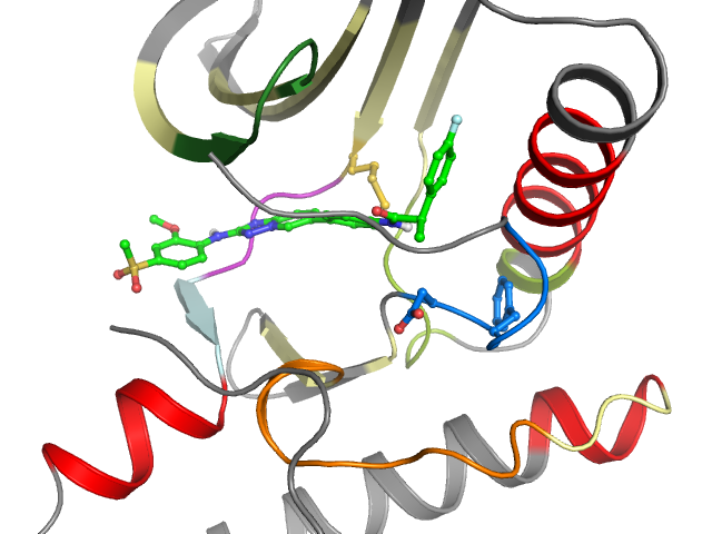 The orthosteric binding pocket