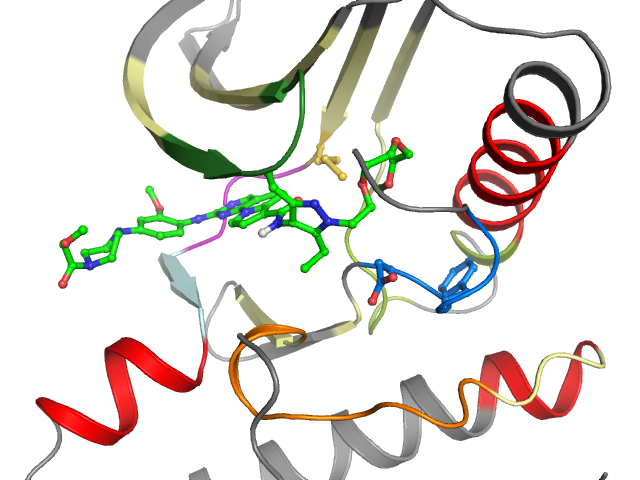 The orthosteric binding pocket