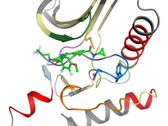 The orthosteric binding pocket