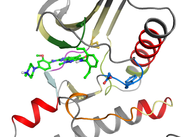The orthosteric binding pocket