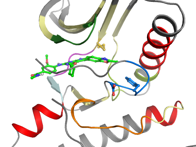 The orthosteric binding pocket