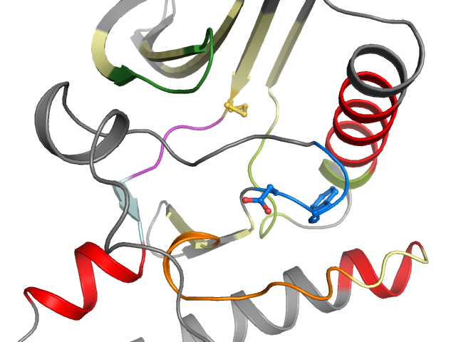 The orthosteric binding pocket