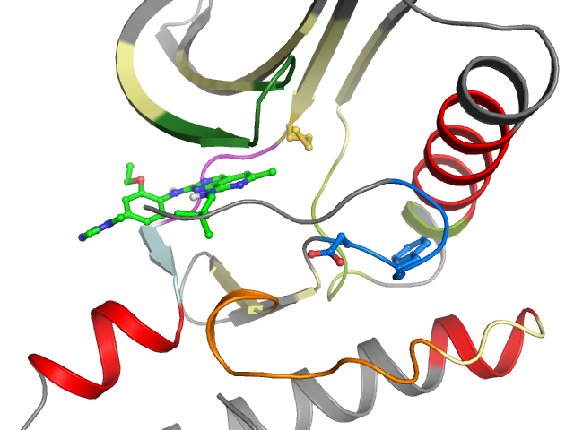 The orthosteric binding pocket