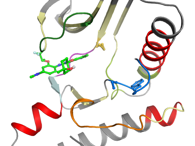 The orthosteric binding pocket