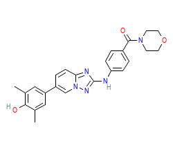2D structure of the orthosteric ligand
