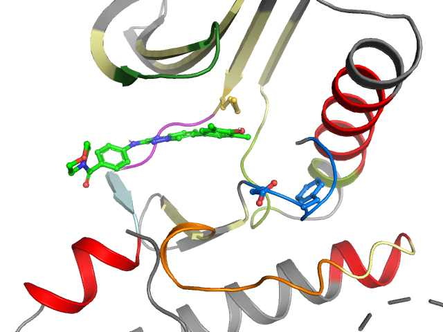 The orthosteric binding pocket
