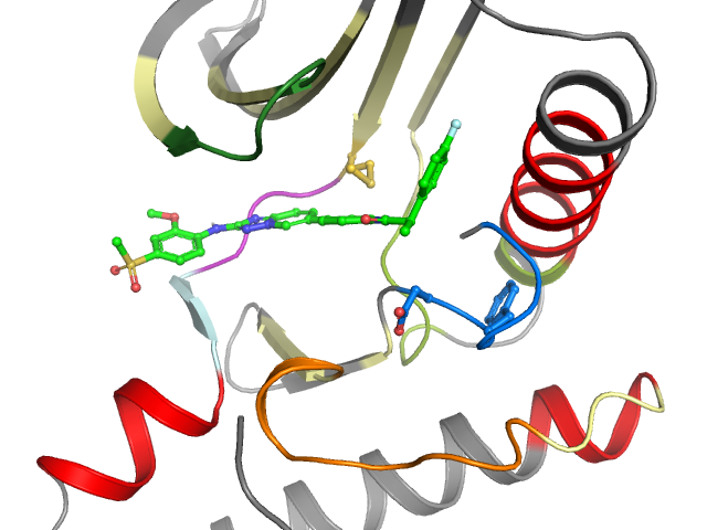 The orthosteric binding pocket