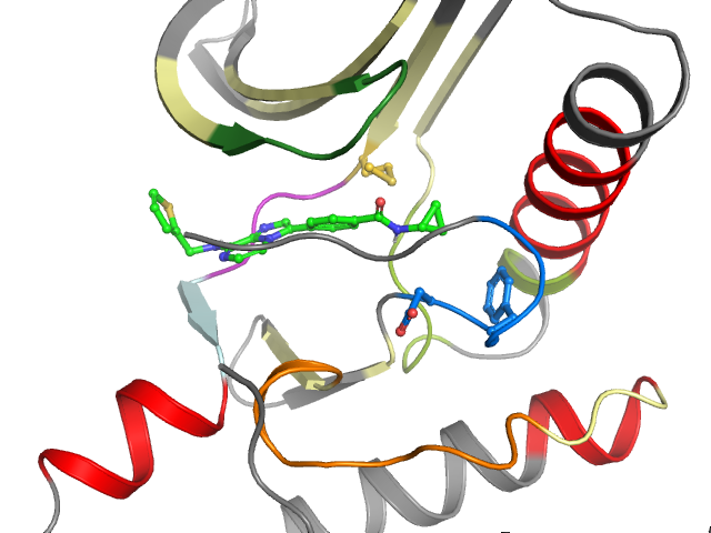 The orthosteric binding pocket