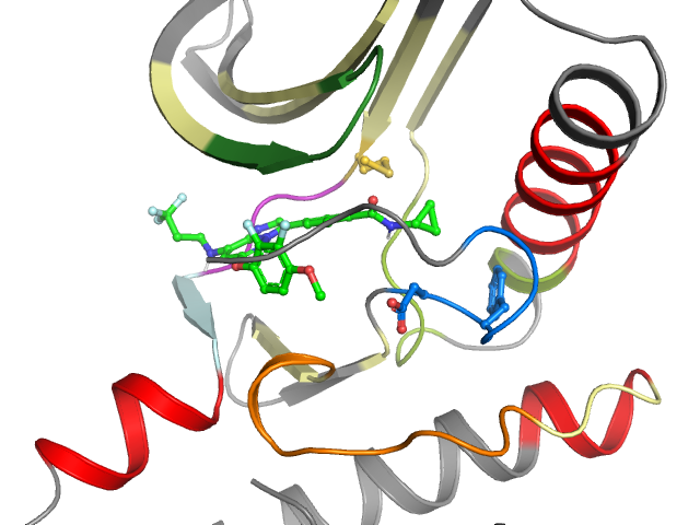 The orthosteric binding pocket