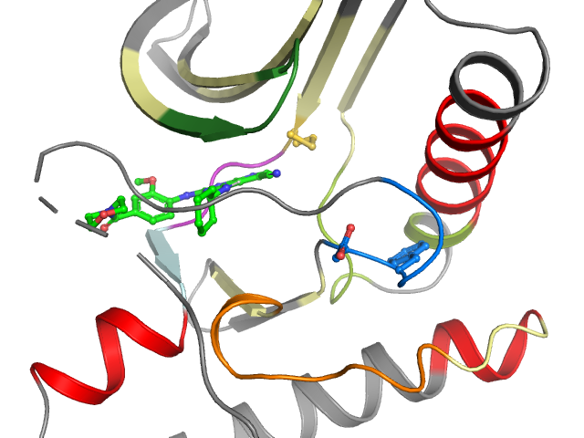 The orthosteric binding pocket