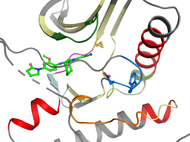 The orthosteric binding pocket