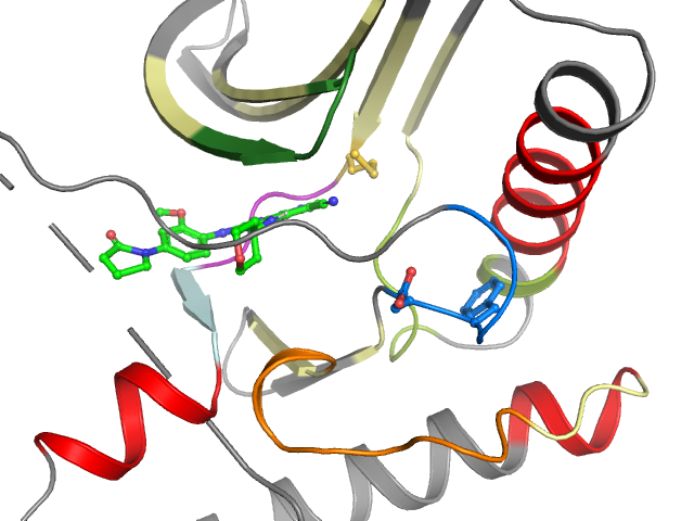 The orthosteric binding pocket