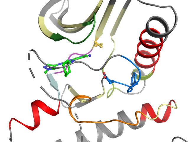 The orthosteric binding pocket